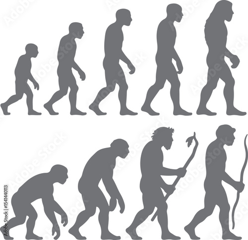 Gray Scale Human Evolution Silhouettes Progression Ape to Modern Man Walking Stages Anthropology Prehistoric History