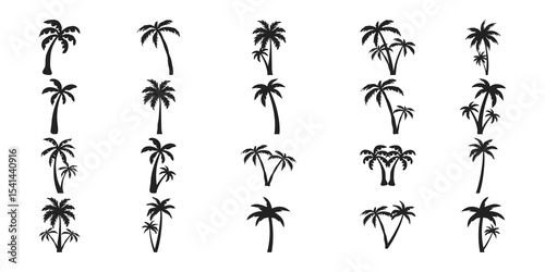 Palm Tree Silhoutte