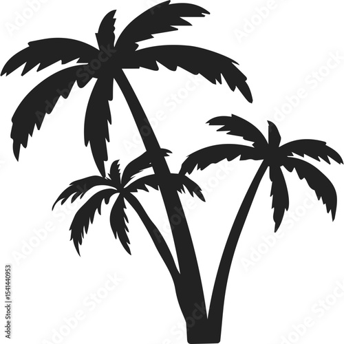 Palm Tree Silhoutte