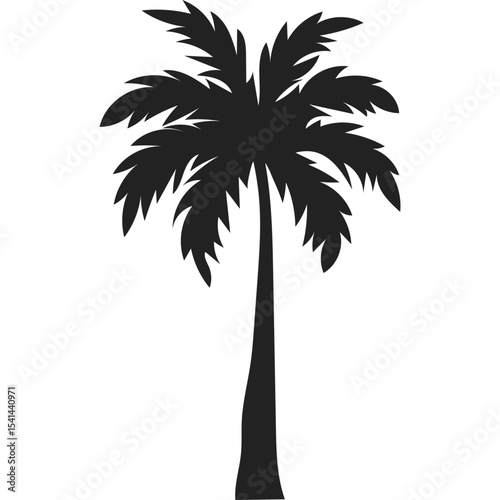 Palm Tree Silhoutte