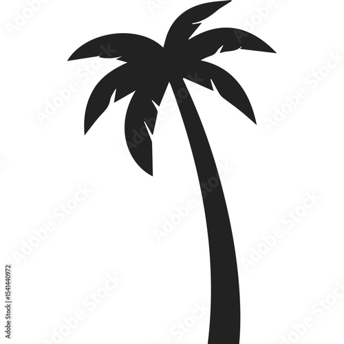 Palm Tree Silhoutte