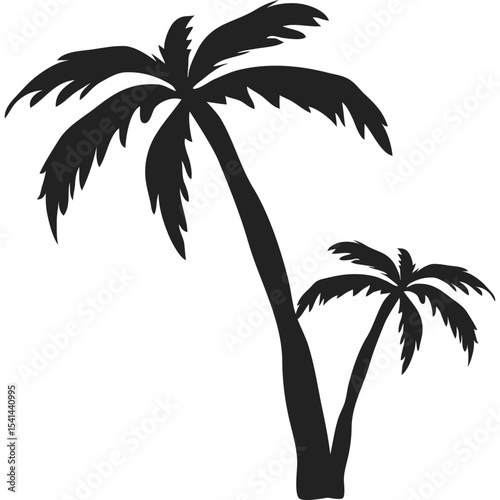 Palm Tree Silhoutte