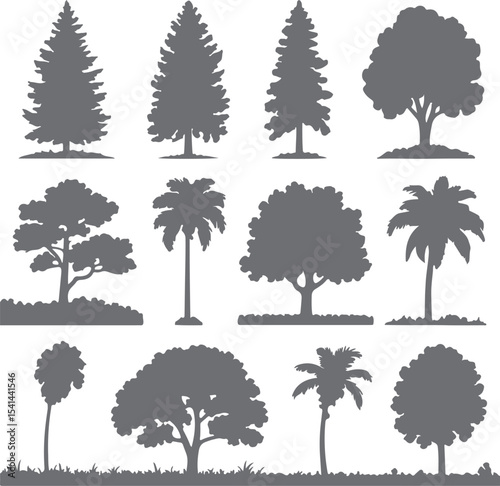 Twelve Gray Silhouette Trees Collection Various Types Coniferous Deciduous Palm Trees Isolated on White Background Simple Graphic Design Elements