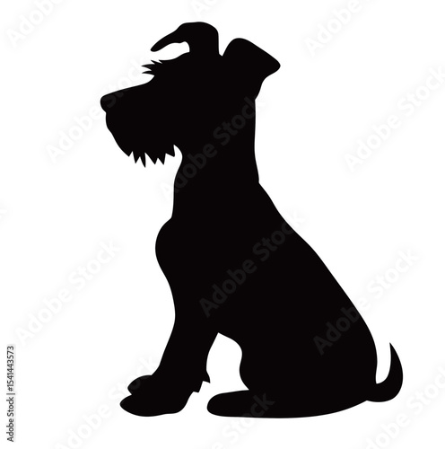 Silhouette of a playful dog sitting gracefully, highlighting its curly fur and features.
