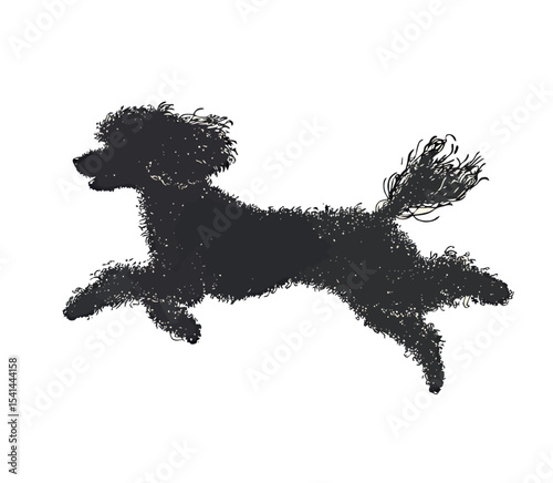 A playful poodle silhouette leaps joyfully against a white background.