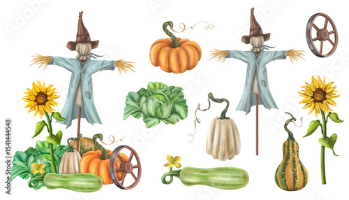 Autumn garden composition with a scarecrow and a harvest of seasonal vegetables. Pumpkins, zucchini, sunflowers, cabbage. Halloween and fall decor for posters and postcards. Isolated illustration