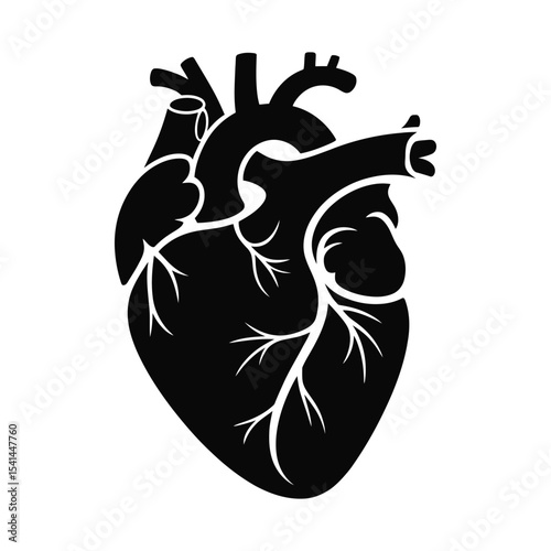Vector illustration of human heart