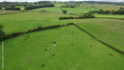 High Angle Footage of Village Countryside Landscape at Near Kendal Town, Lake District of England United Kingdom. Drone Camera Footage Was Captured on June 13th, 2025