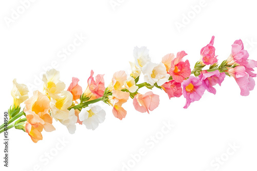 Vibrant snapdragon flower bouquet clipart — high-resolution PNG with transparent background ideal for seamless floral cutouts, wedding invitations, sublimation prints and scrapbooking