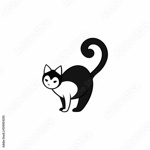black cat on white background
