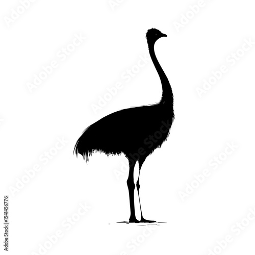 Ostrich silhouette vector