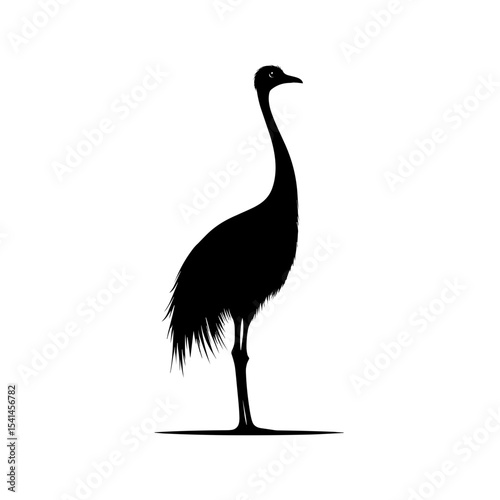 Ostrich silhouette vector