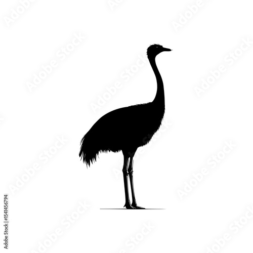 Ostrich silhouette vector