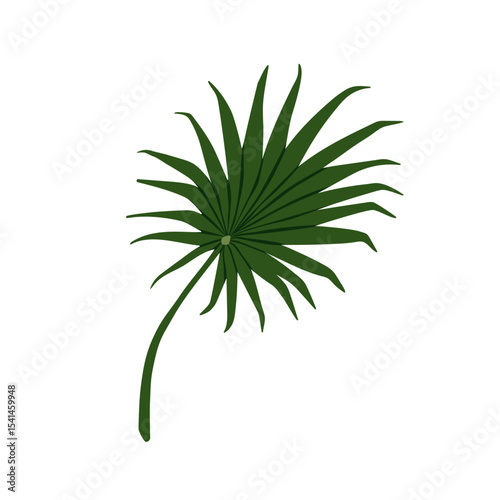 Fan palm leaf. Tropical exotic frond, rounded split shape. Big large green fo...