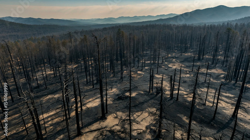 Drone View of Wildfire-Devastated Forest with Burnt Trees and Smoky Mountain Horizon
