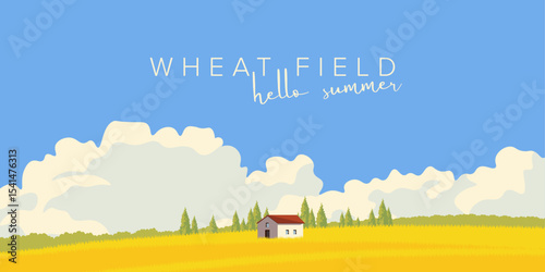 Summer background, field banner, wheat field cover
