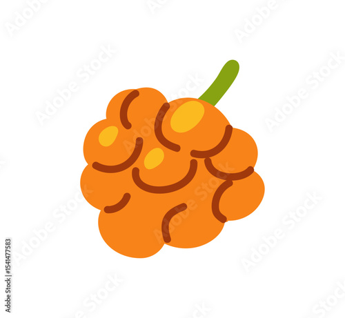 Branch of cloudberry. Icon of orange raspberry. Twig of fruit tree with berries. Healthy eating, organic farm food. Garden crop, orchard harvest. Flat isolated vector illustration on white background