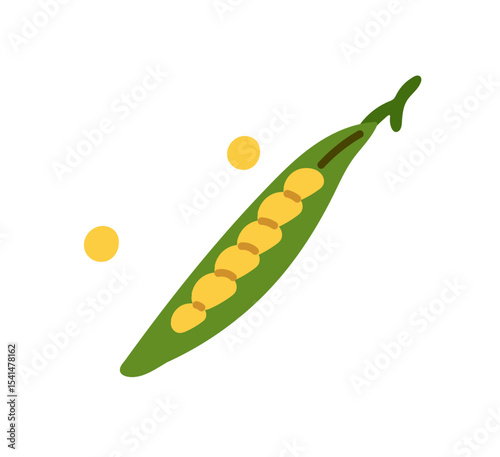 Green pea pod with yellow seeds. Fresh bean, legume icon. Natural vegetable, organic product. Healthy farm food, vegan eating. Agriculture crop. Flat isolated vector illustration on white background