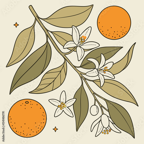Vintage Style Orange Branch with Flowers and Fruit Illustration on Beige Background