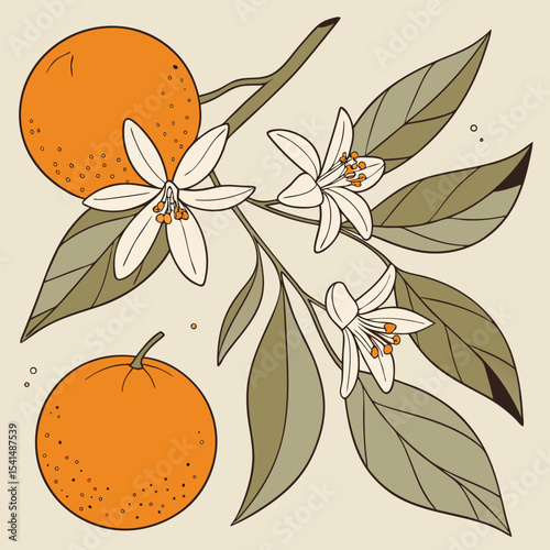 Vintage Style Orange Tree Branch Illustration with Flowers and Fruits on Beige Background