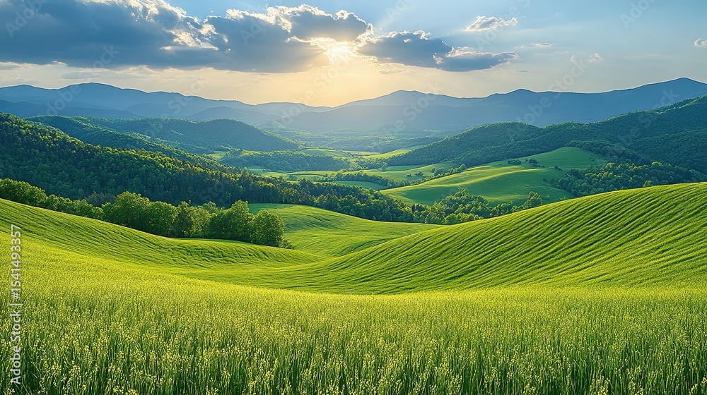 Obraz premium green field and mountains