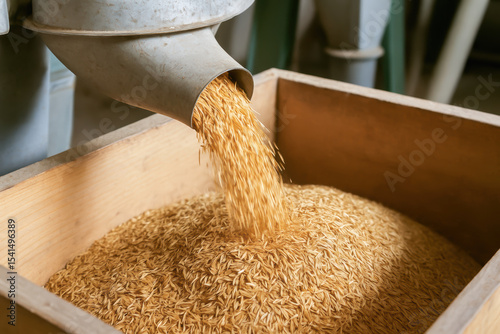 Rice grain flowing from metal chute into wooden container at rice mill production process in factory