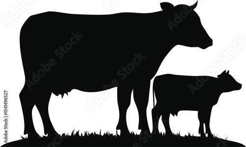 Cow and calf graze together in silhouette on a grassy hill