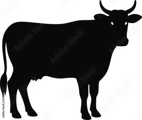 Cow silhouette isolated on white background