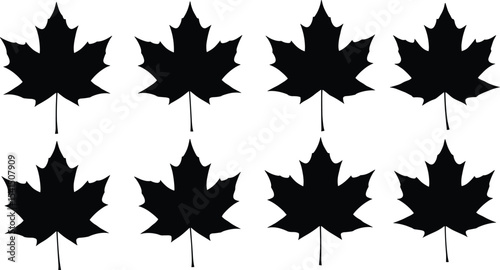 Maple leaf silhouettes, Canadian nature symbol, black botanical icons, autumn foliage design, seasonal vector art, symmetrical leaf pattern, isolated decorative illustration, natural forest theme