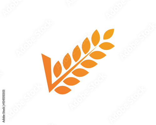 Agriculture wheat vector