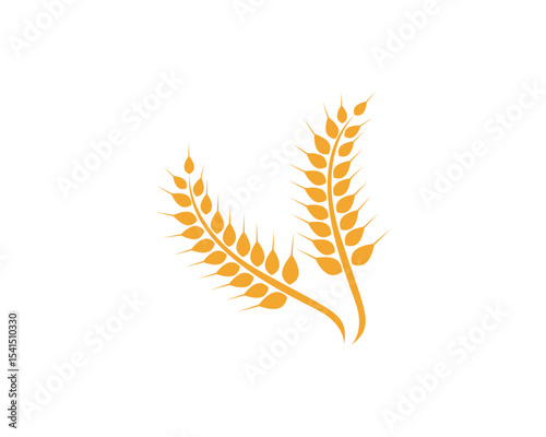 Agriculture wheat vector