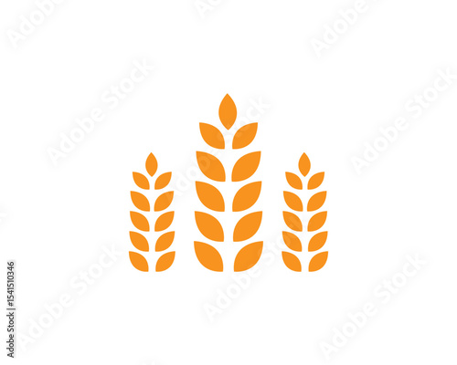 Agriculture wheat vector