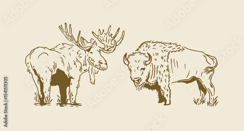 Wildlife Line Art of Moose and Bison – Vintage hand-drawn animal illustration perfect for rustic designs, t-shirts, prints, stickers, and nature-themed projects.