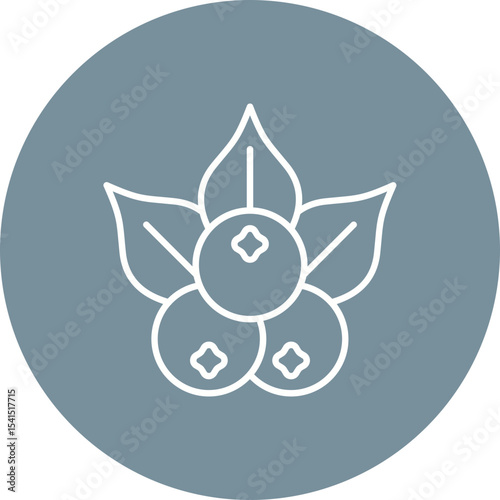 Berries Icon