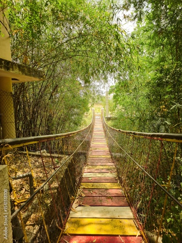 Colorful Wooden Suspension Bridge Through Forest PathColorful Wooden Suspension Bridge Through Forest Path
