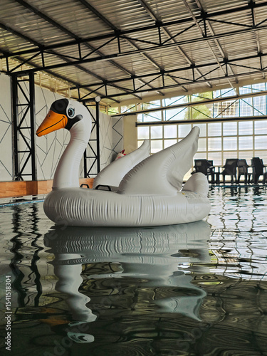 Inflatable Swan Float in Indoor Swimming Pool