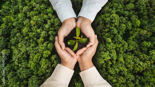 World Environment Day, Hands planting trees for the goal of sustainable development of the environment, Volunteers help solve environmental problems, Global business.
