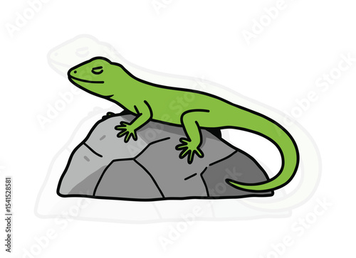 Vector Illustration of Lizard: Colorful Reptile Art, Hand-Drawn Wildlife Graphic Element