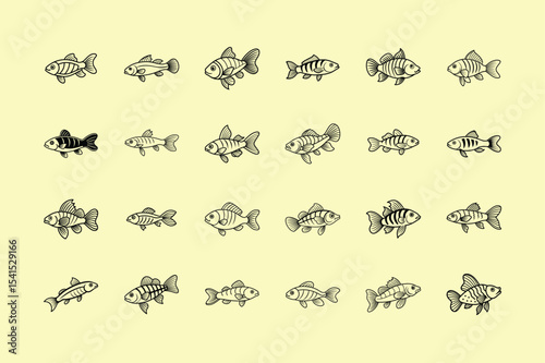 Peacock Gudgeon, aquarium fish, line art illustration