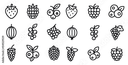Berry theme outline icons set – fruits, line, minimal berry illustrations