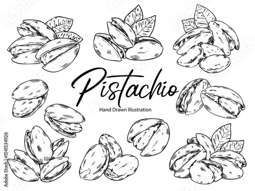 Set of hand drawn pistachio nuts outline drawing illustration