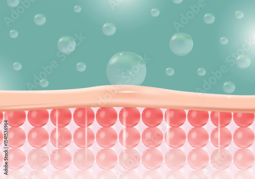 Serum molecules to repair damaged or dull skin layer to become healthier