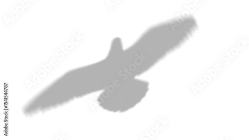 Red Kite Bird Shadow Vector - Majestic Flying Silhouette with Transparent Background for Wildlife & Nature Graphics