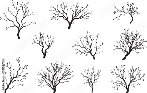 Set Trees. Hand drawn vector illustration	