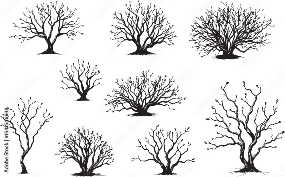 Obraz premium Set Trees. Hand drawn vector illustration 