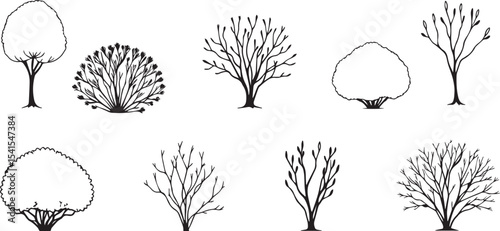 Set Trees. Hand drawn vector illustration	
