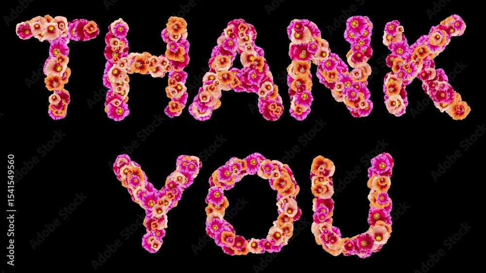 Thank You text with Hollyhocks flowers on plain black background Thank You text with Hollyhocks flowers on plain black background