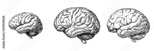 A black and white sketch of the human brain with a neutral mood is set against a white background