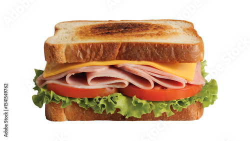 Delicious toasted sandwich with ham cheese lettuce and tomato perfect for lunch or a quick meal a tasty food photography