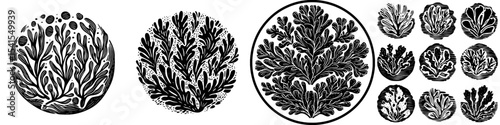 The linocut style features modern algae elements, including backgrounds, patterns, and textures